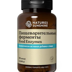 Пищеварительные ферменты